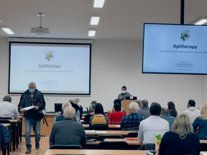 Sessão teórica de apiterapia para um grupo de participantes